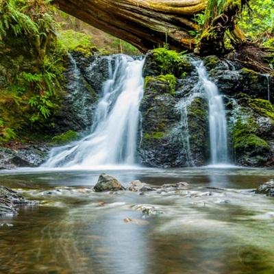 金年会体育下载app