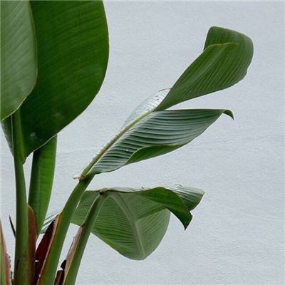 365体育官方唯一入口手机app下载