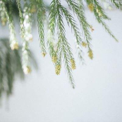 华体育下载手机版