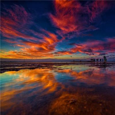 盈彩网手机app下载