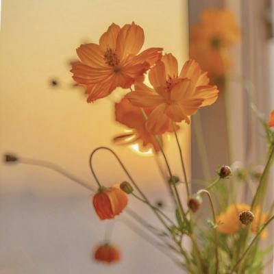 皇冠新体育·(Crown)