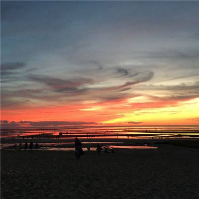 香港最准资料免费公开手机app下载截图