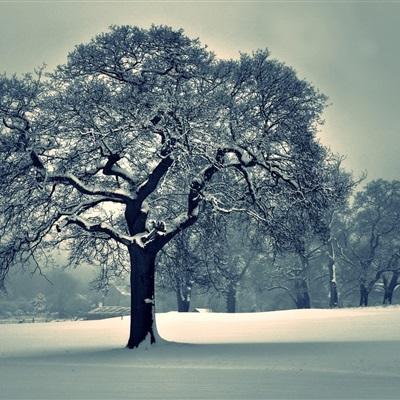 bte365真正的网站