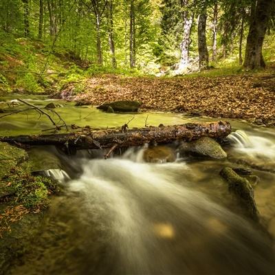 ag真人平台官方手机app下载
