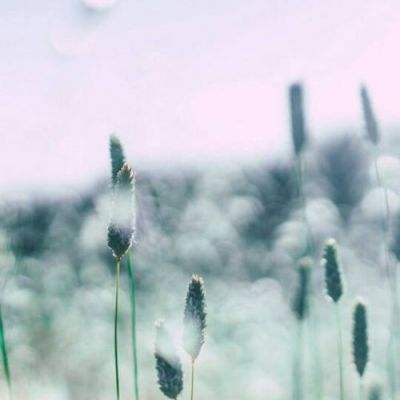 ayx在线登录入口app下载