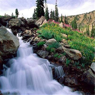 百姓彩票Welcome手机app下载