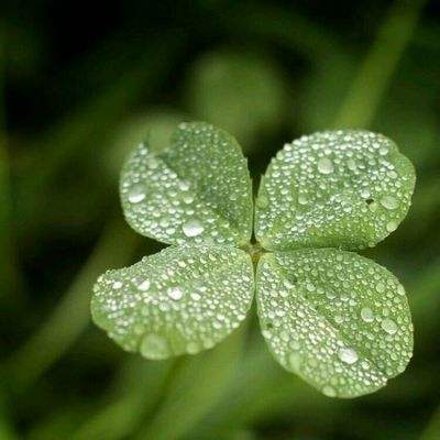 kaiyun平台app下载app下载