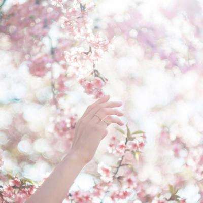 安博体育app官方下载入口