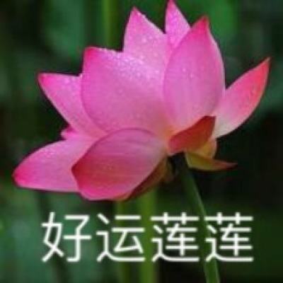澳门网上黄金城手机app下载
