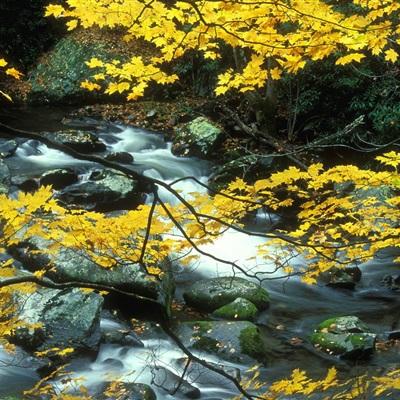 pg麻将胡了平台