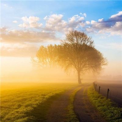 bandao全站体育下载